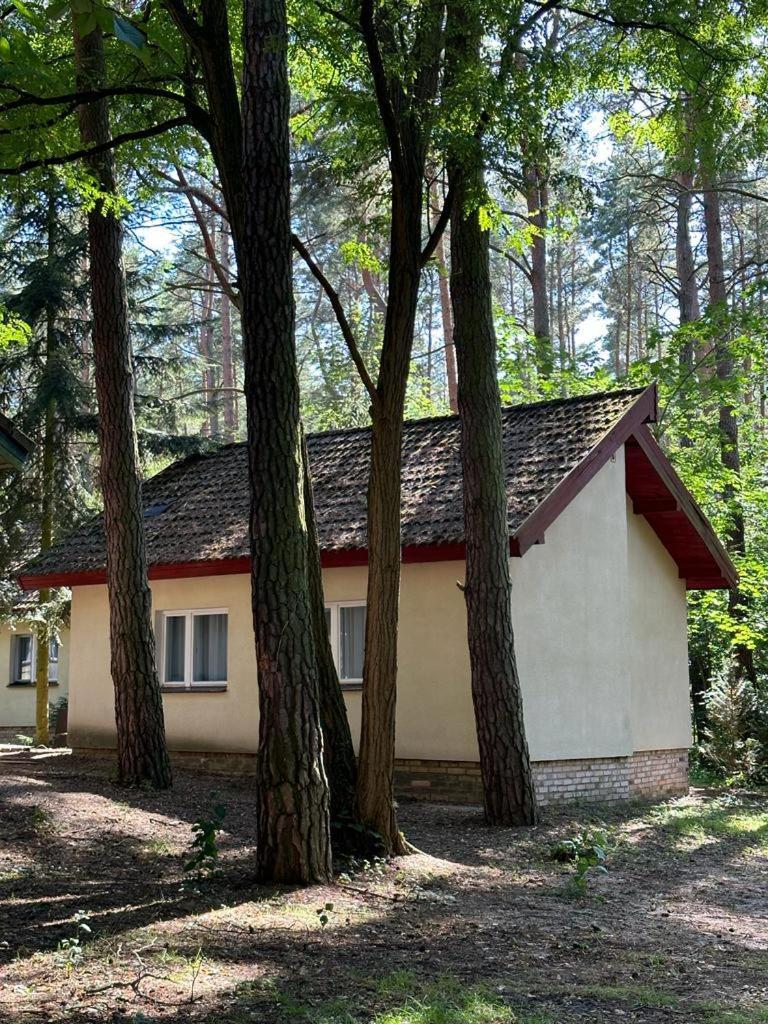 Summer House Lubniewice Exterior foto